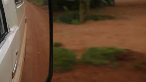 African countryside Stock Footage 232872590