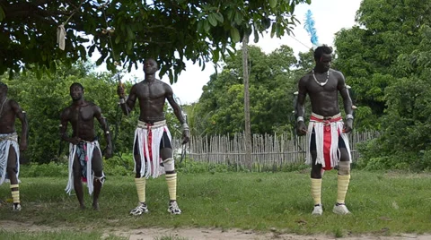 African dancers Stock Footage 36933863