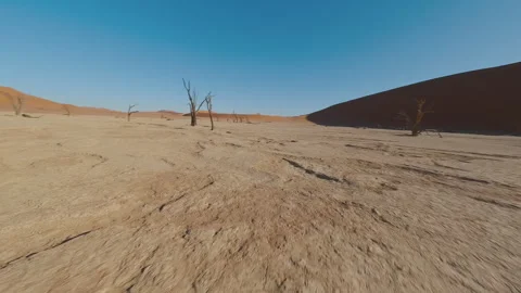 African Drought with Dry Trees Stock Footage 295028479
