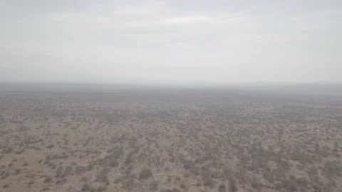 AFRICAN DRY VEGETATION Stock Footage 136149208