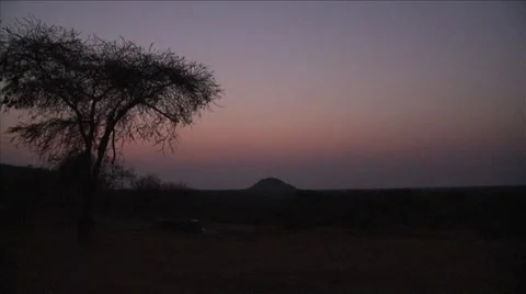 African dusk Stock Footage 49998474