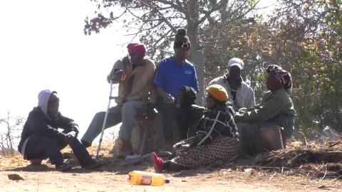 African Elders Talking Video stock 172266093