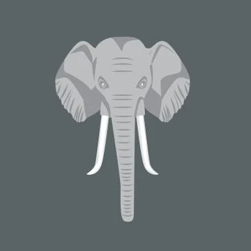 African elephant head with front view. Vector illustration. Stock Illustration