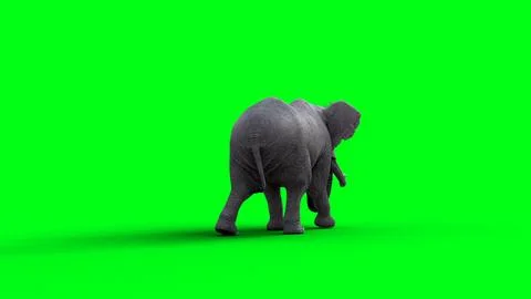 African elephant idle. 3d rendering. Illustration