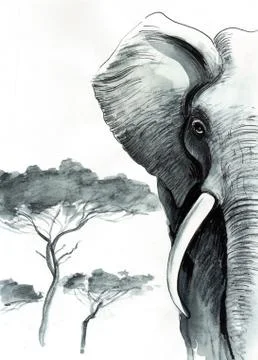 African elephant Illustrazione stock