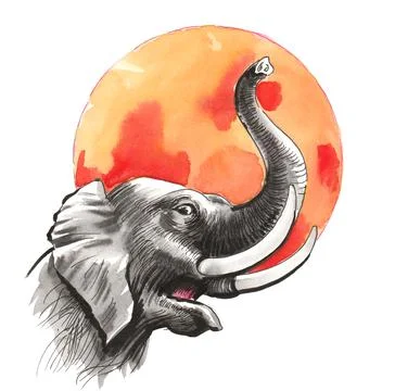 African elephant Illustrazione stock