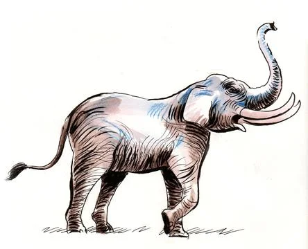 African elephant Stock Illustration