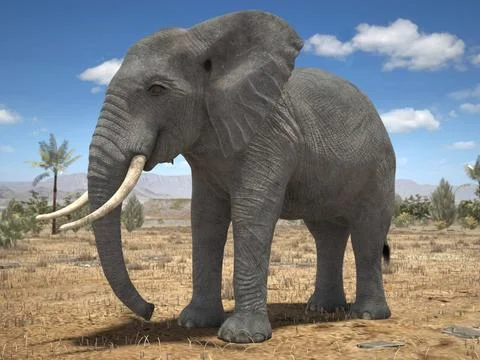 African Elephant Rigged for 3dsmax 3D Model