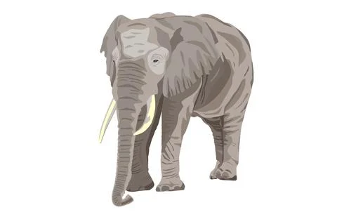 African Elephant vector illustration Stock Illustration
