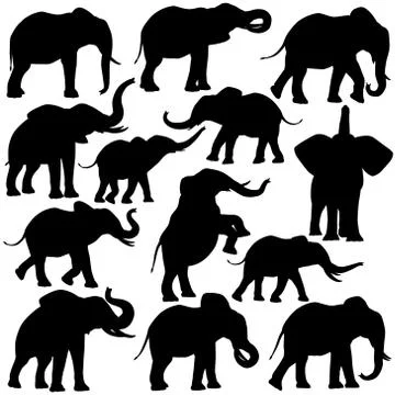 African elephants Stock Illustration