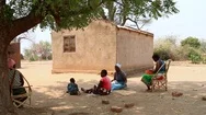 African Family House And Shaded Compound In Malawi, Africa Stock Footage
