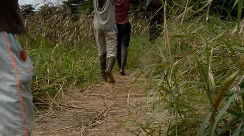 African farmers Video stock 7740063