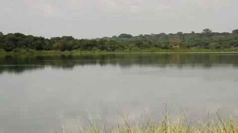 African fish boat Vidéo 56848413