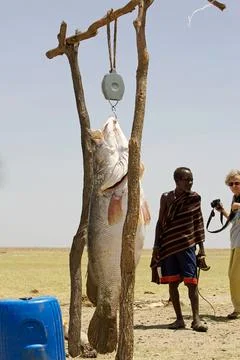 African fishermen and fish Stock Photos