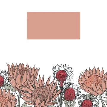 African flowers. Vector background. Stock Illustration