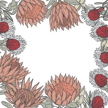 African flowers. Vector background. Stock Illustration