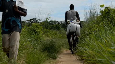 African Stock Footage 7740045