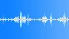 African forest birds Sound Effect