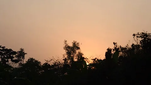 African forest sunset Stock Footage 103752412