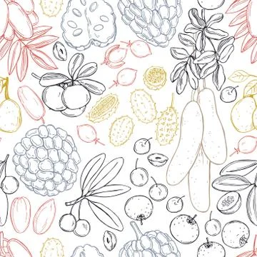 African fruits. Vector  seamless pattern Stock Illustration