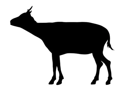 African goat Stock Illustration