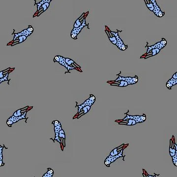 African grey parrot bird vector seamless pattern Stock Illustration