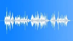 African Grey Parrot RecordedSound Effect