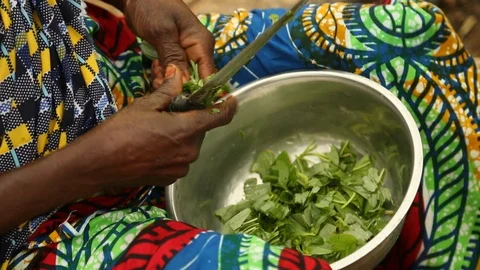 African hands chopping and cooking vegetables in Nigeria, Africa Stock Footage