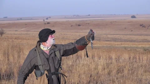 African Hawk Eagle landing on trainers glove in slow motion Vídeo Stock 104061608