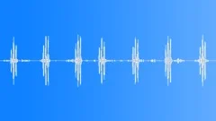 African hoopoe callingSound Effect