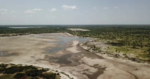 AFRICAN LAC VEGETATION TCHAD Stock Footage 168681633