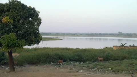 African lake Stock Footage 100985195