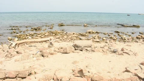 The African Lake Landscape Stock Footage 276307111
