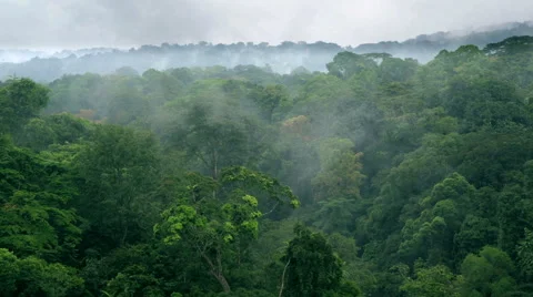 African Landscape 02 Stock Footage 50686419