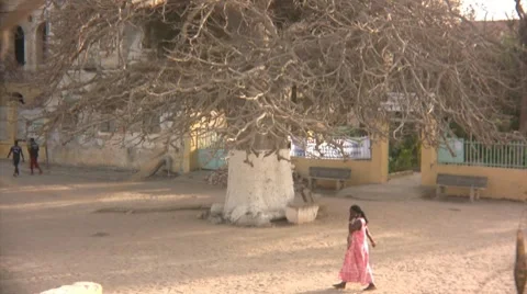 African landscape Stock Footage 8314291