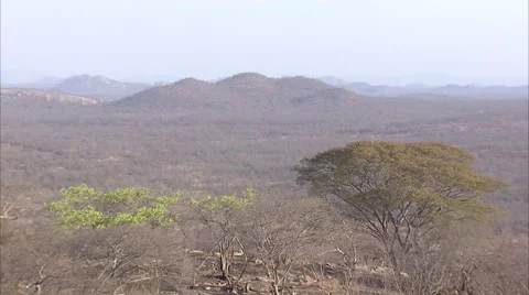 AFRICAN LANDSCAPE Stock Footage 50621970