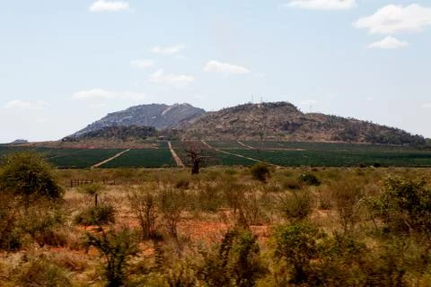 African landscape Stock Photos