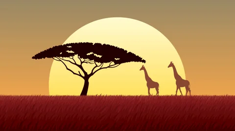 African Landscape Sunset Stock Footage 60742235
