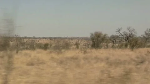 African landscape while driving Stock Footage 8626437