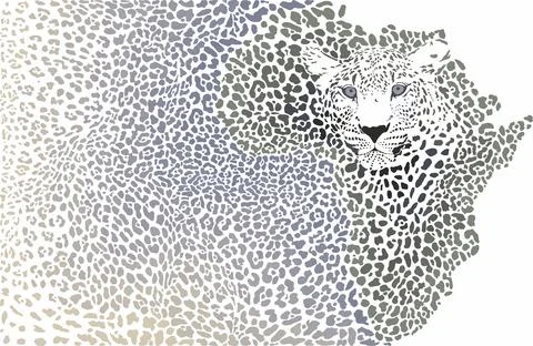 African leopard - Background of the continent map イラスト素材