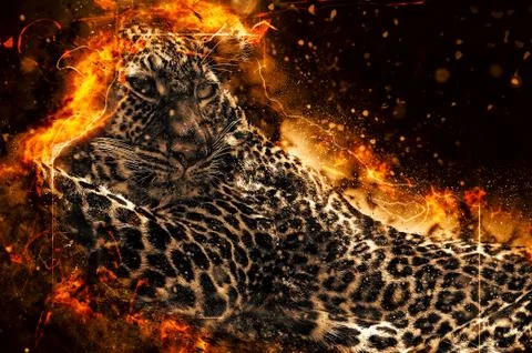 African leopard illustration Stock Illustration