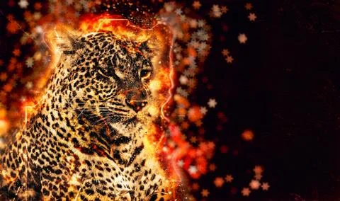 African leopard illustration Stock Illustration