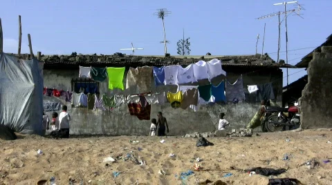 African life Stock Footage 589133