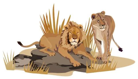 African lions Stock Illustration