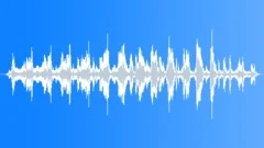 African lions roaringSound Effect