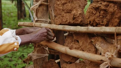 African man building Stock Footage 232872167