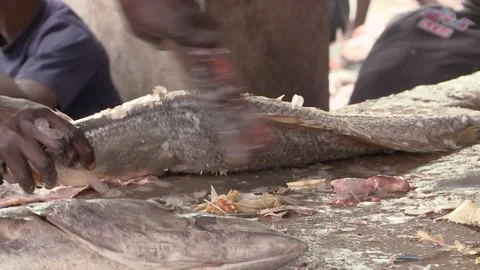 African man cleans fish in the local market. Close-up on details. Stock Footage 150273829