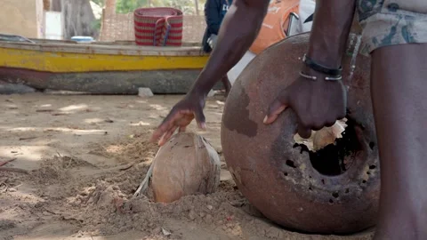 African man cracking coconuts with iron ball Stock Footage 304872522