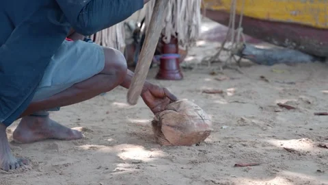 African man cracks coconuts with an axe Stock Footage 304837875