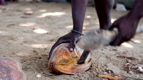 African man cracks coconuts with an axe Stock Footage 304872640